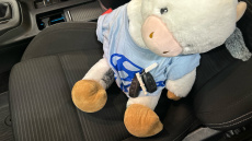 Ford Focus 1.0 EcoBoost Titanium 5dr Petrol Hatchback